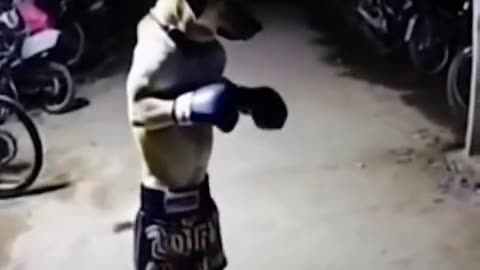 👻👽 Scary Clip: #ghostlytoksa Oujia Board Catches Ghosts! | TheHauntingHour