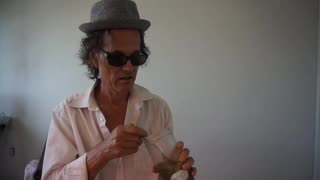 BEAVE'S BEST THE ULTIMATE PICKLE