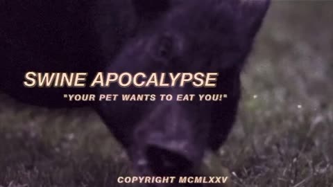 Swine Apocalypse Intro