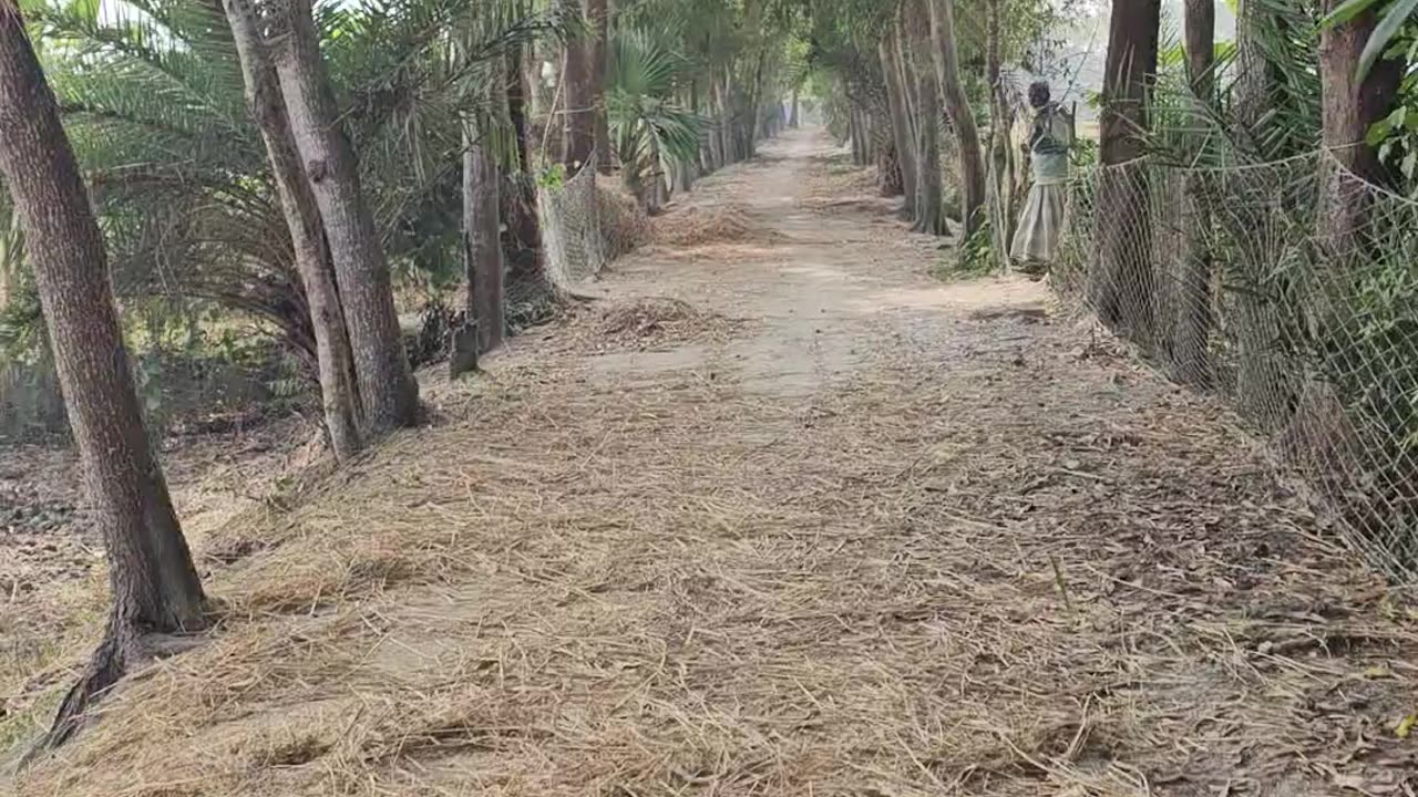 Awesome village road