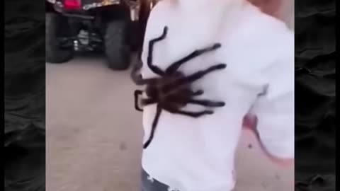 😱👻 You Won't Believe What They Caught on Camera! Creepy Paranormal Videos | TheHauntingHour