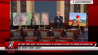 Be Vewy Vewy Quiet: The Department of Interior Is After The American Barred Owl