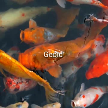 Colorful Aquarium Artificial Ecosystem