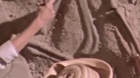 Uncovering the Mythical Dragon's Remains In The Hell Creek Formation