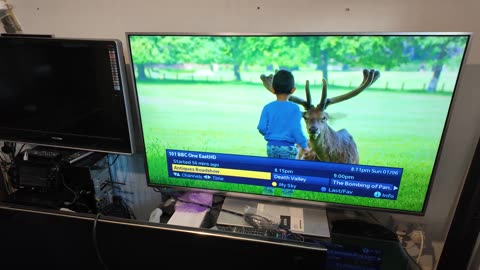Selling My Panasonic TXL55ET60B Full HD 1080p Freeview 3D LED 55 inch TV again as need the room