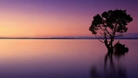 Empowerment in the Stillness (8D Audio)