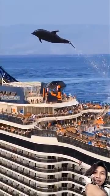 Watch a flying fish glide over a cruise ship! 🐟✨