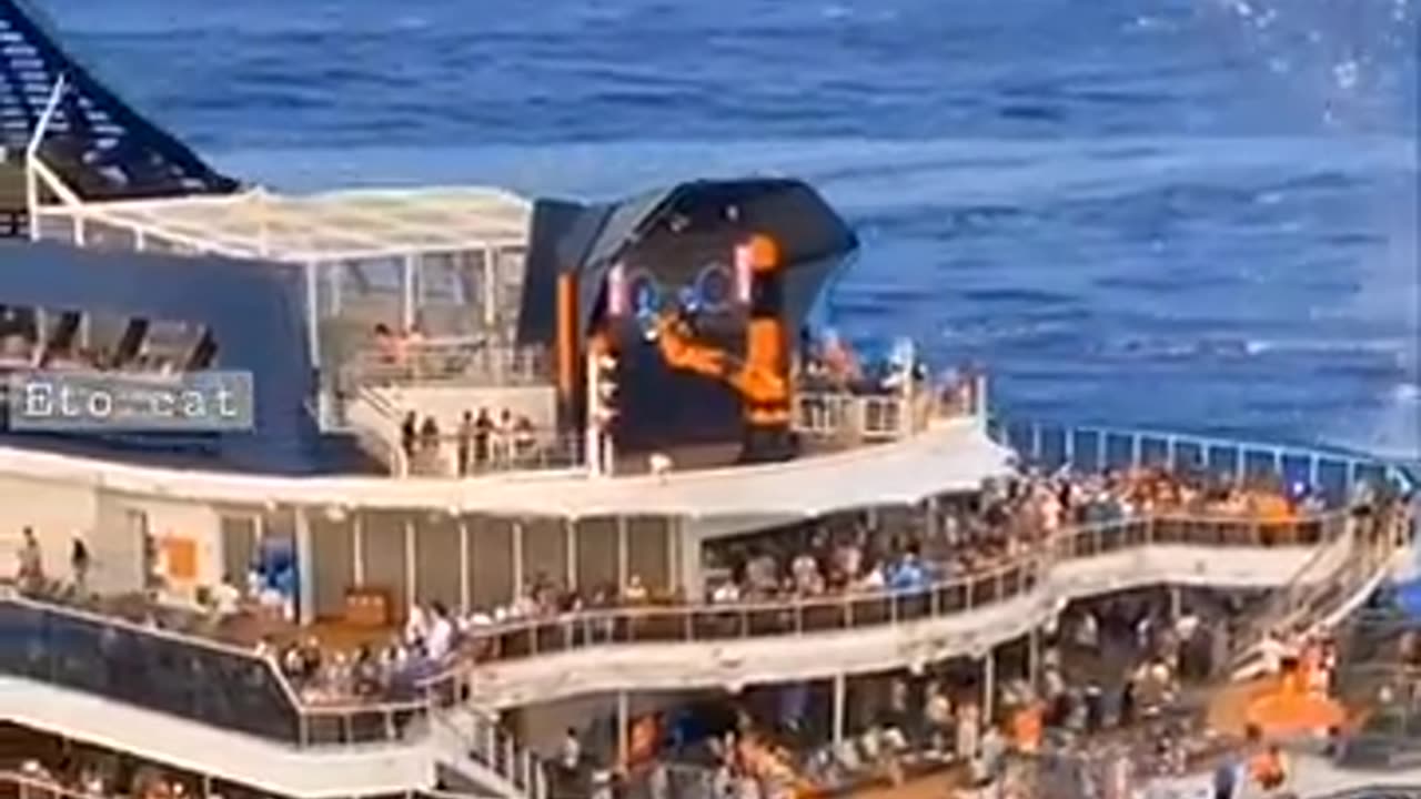 Watch a flying fish glide over a cruise ship! 🐟✨