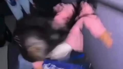 La profecía se cumplió