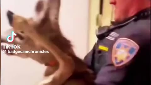 police officer seen carrying Bambi out of someone's house