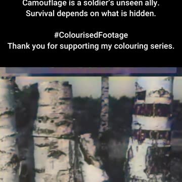 Nature’s Illusion Camouflaged Structures 1944 #ColourisedHistory