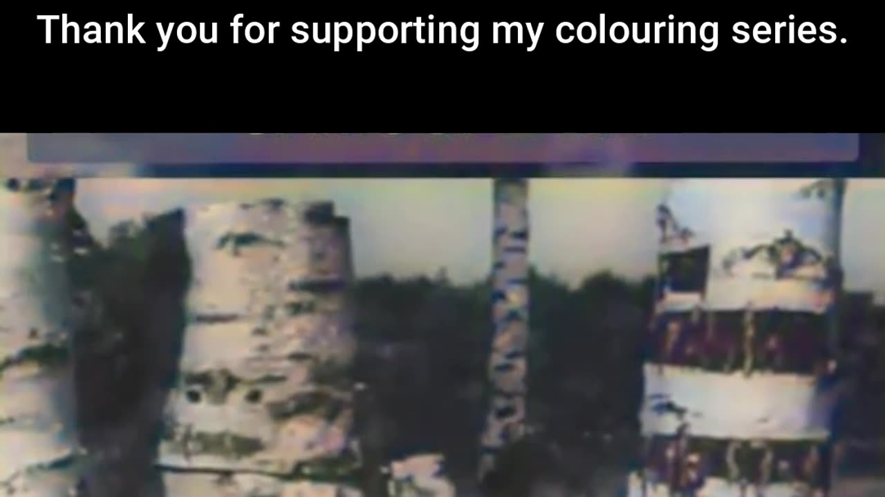 Nature’s Illusion Camouflaged Structures 1944 #ColourisedHistory