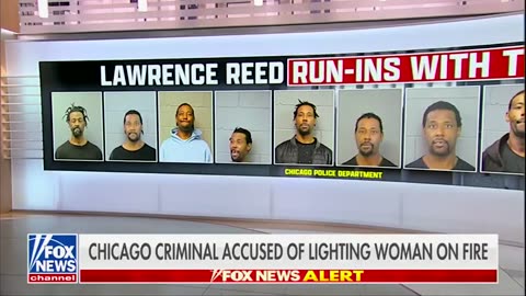 Criminal sets fire to woman on Chicago train