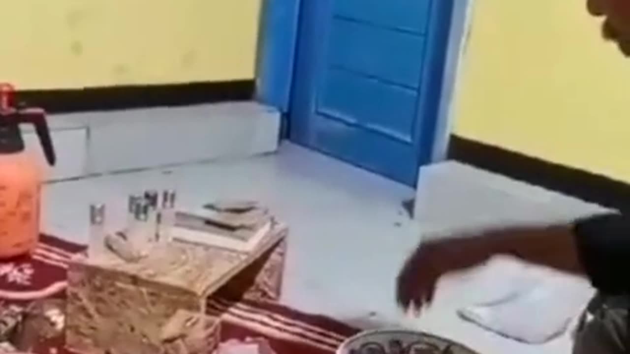 😱👻 The Most Bizarre Ouija Board Session Ever Caught on Camera! | TheHauntingHour