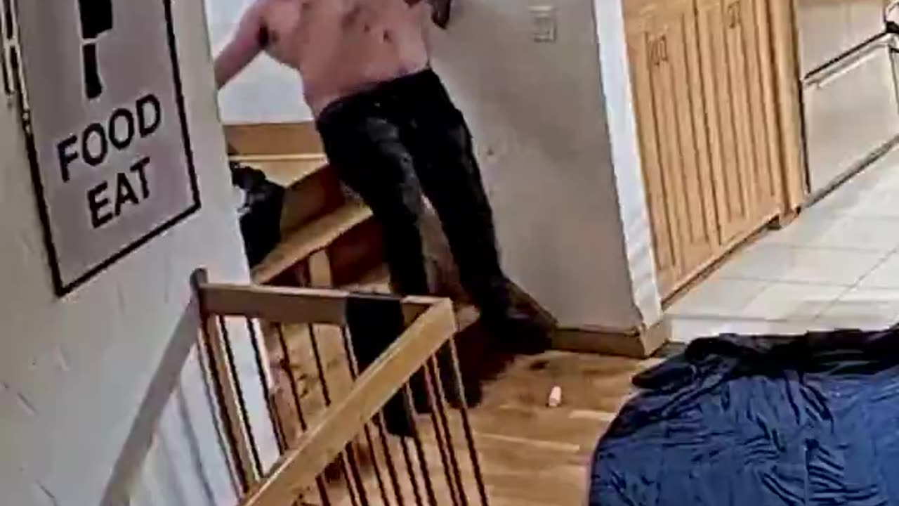 Franks Greatest Hits - Fishtank