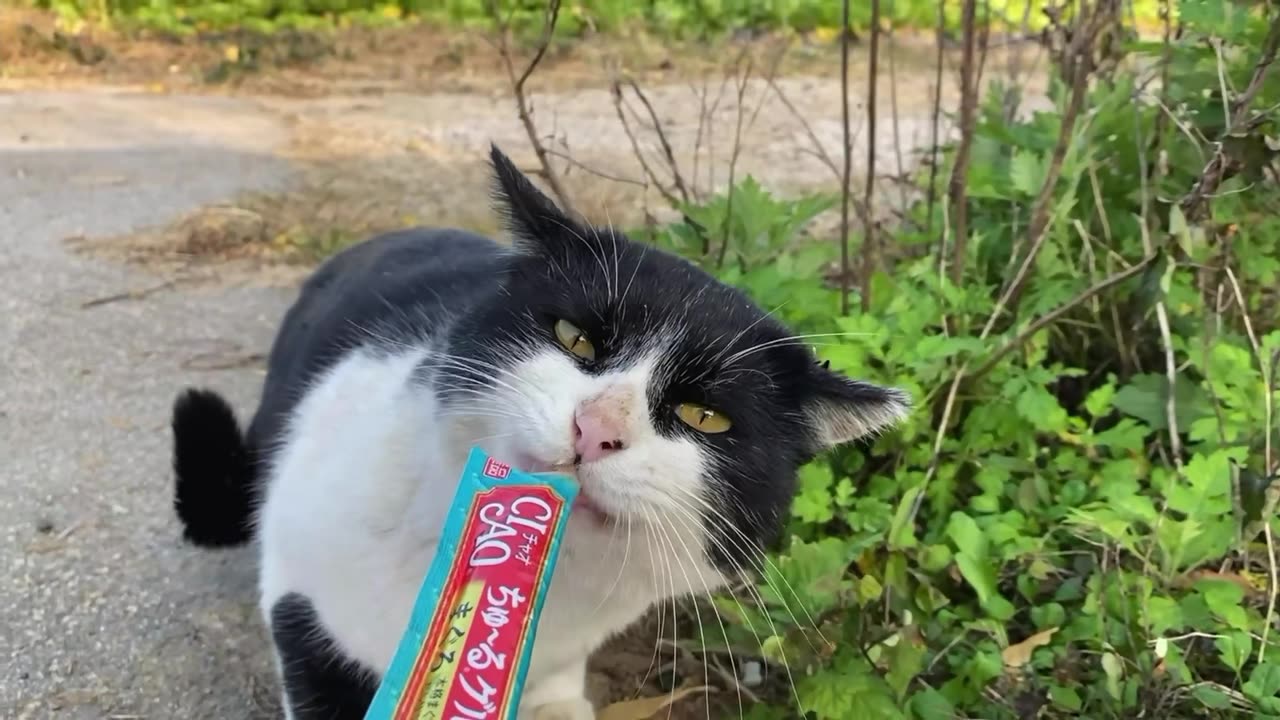 It ate my finger. Wow, it hurts so much.