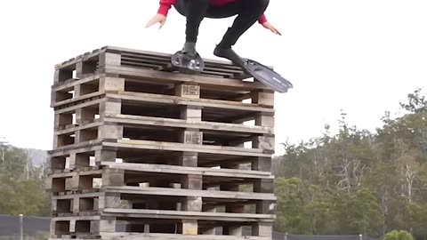 If Animals Did Parkour 😂🐕🐒 | Funniest Animal Jumps Ever!