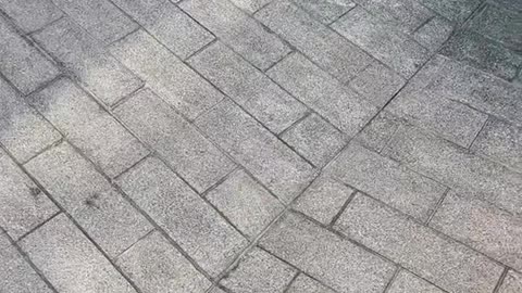 🤯💎 The Sound of This V12 is PURE Symphony! Experience Automotive Bliss | LuxurySportsCars