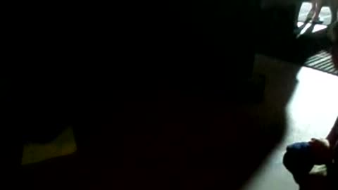 Fog machine surprises passer bys!