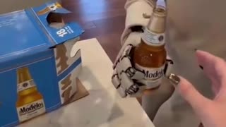 NEO The Home Robot: the AI and robotics company behind this $20,000 home robot- Would you buy it