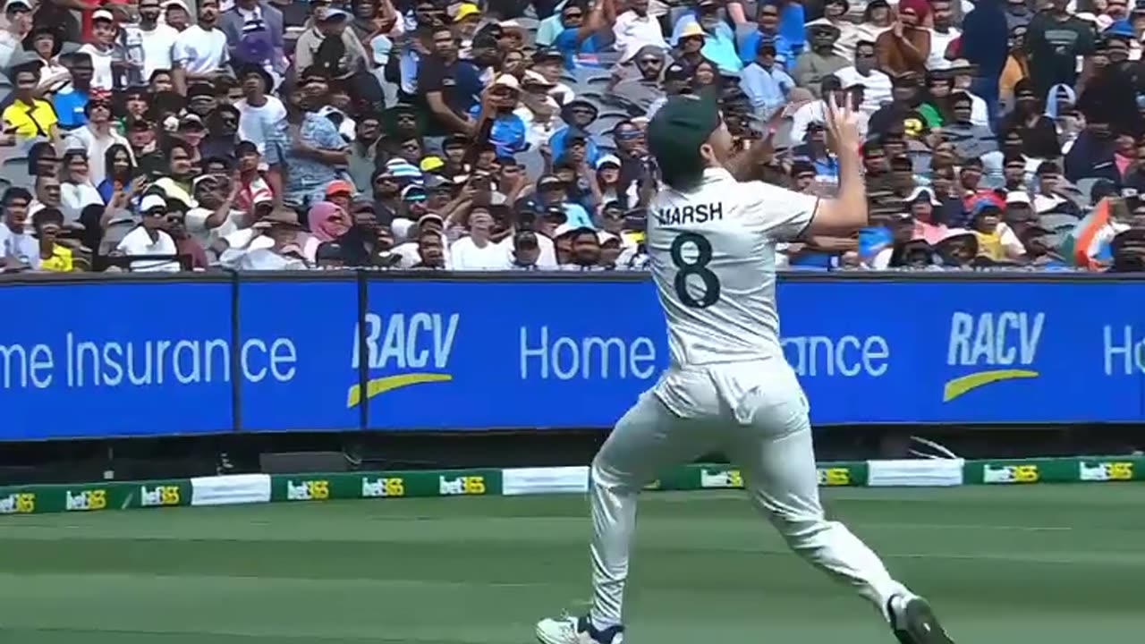 Travis head x reaction /head vs pant/ india vs Australia 4th test match