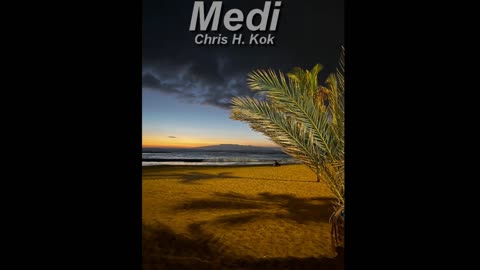 Chris H. Kok - Medi