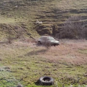 Ford Off road Power 🚜💪👀