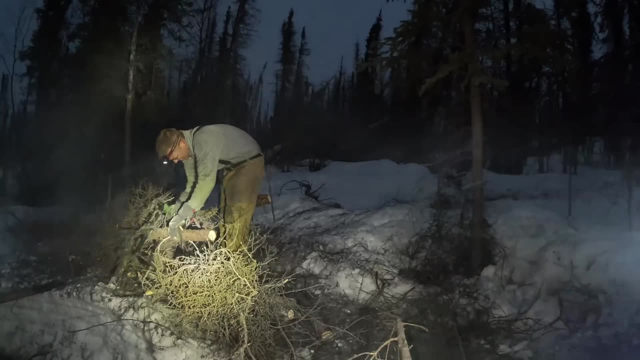 How to Avoid Freezing to Death When Lost in Alaska Winter Survival and Camping