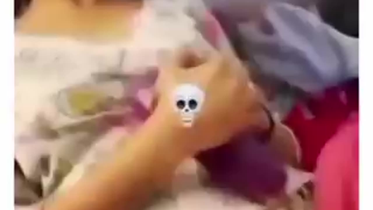 Elephant 😂😂😂😂