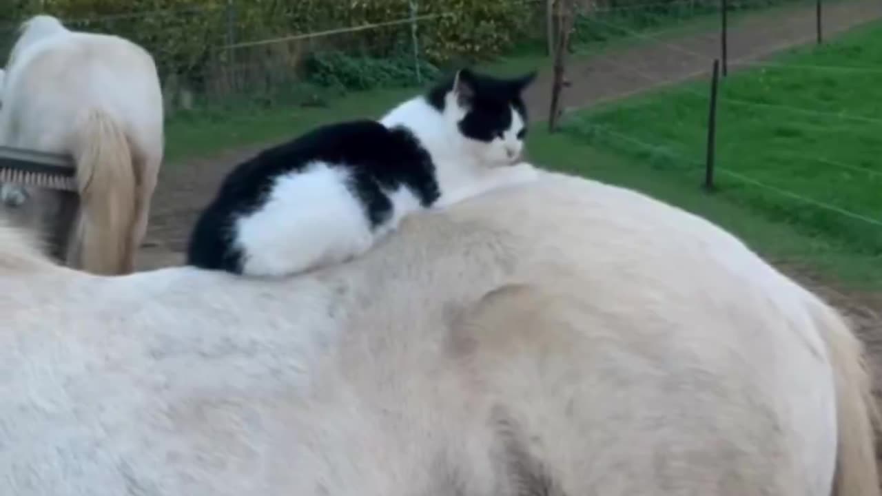 The best spot.. 😊