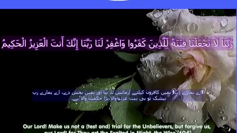 Top 40 Rabbana Duas Every Muslim Should Know (dua no 39) #shorts