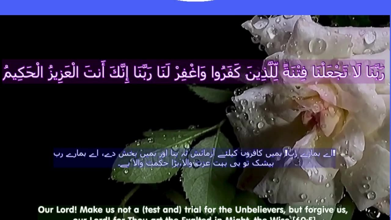 Top 40 Rabbana Duas Every Muslim Should Know (dua no 39) #shorts