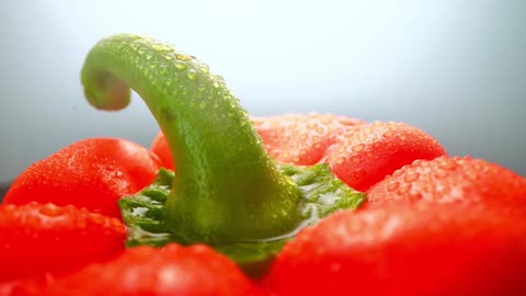 Chillhall House Lofi Mix