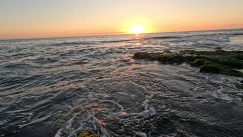Hangout Sunset Beauty and even a Leopard Shark #chill #relaxation #shark