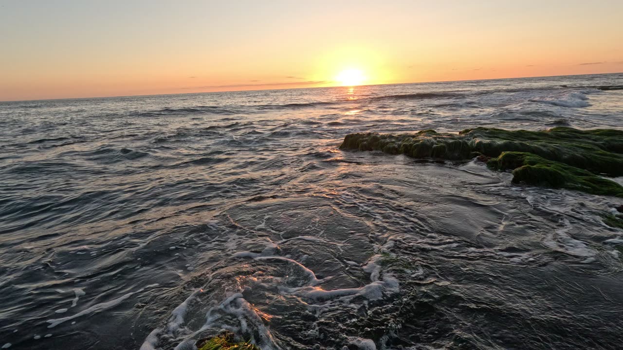 Hangout Sunset Beauty and even a Leopard Shark #chill #relaxation #shark