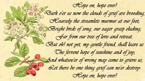 Hawthorn - The Language of Flowers