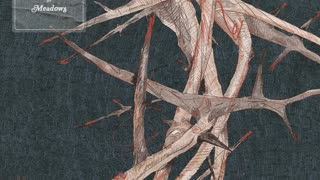 MEADOWS - WHAT IS TRUTH