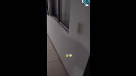 #top secret file #gini in the school #dr master