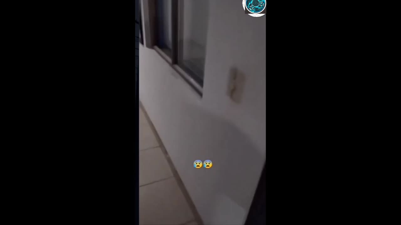 #top secret file #gini in the school #dr master