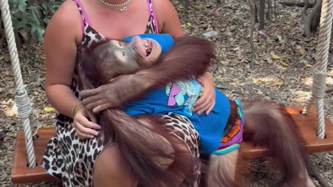 Gentle Orangutan Kisses