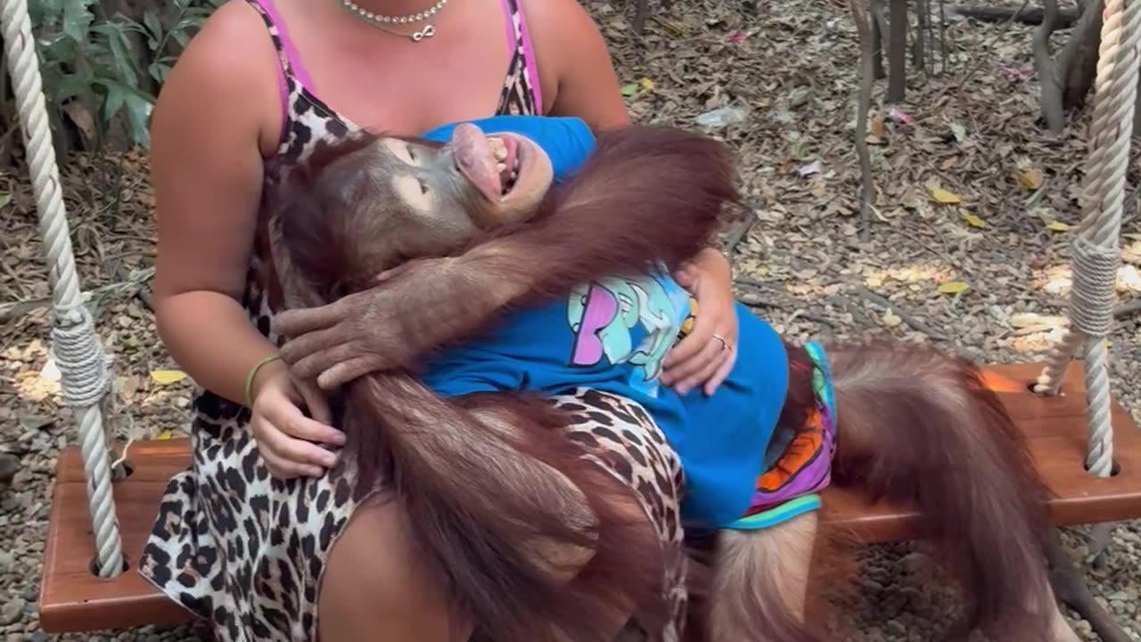 Gentle Orangutan Kisses