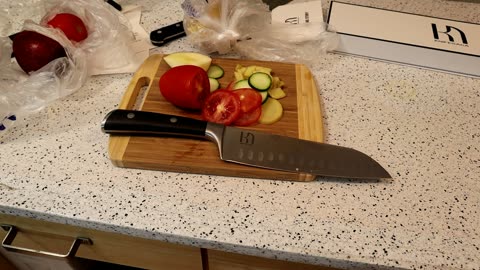 KnifeSaga Japanese Santoku Knife Kitchen Gadget Review