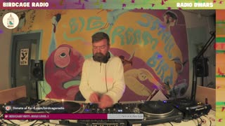 Niels Klein - RD X Birdcage Radio #2