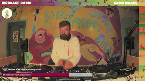 Niels Klein - RD X Birdcage Radio #2