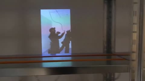 Istituzione Fondazione Bevilacqua La Masa (18 Febbraio 2024) [VE]