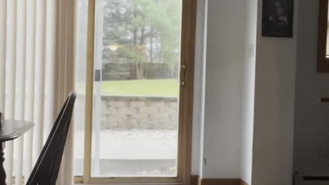 Exercising Everyday till I'm fit Day 45 #exercise #fitness