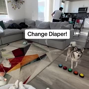 Dein Freund und Helfer.