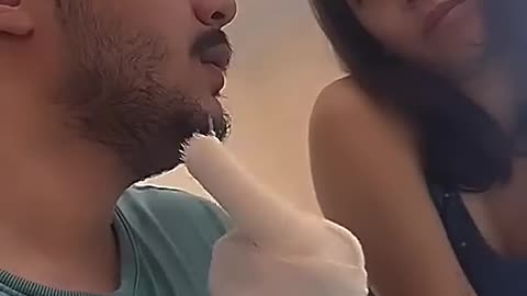 Funny videos