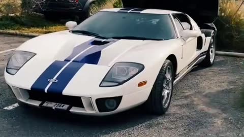 ✨🏎️ Experience the ELEGANCE of Luxury Cars in 15 Seconds! | LuxurySportsCars