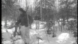 COMBAT IN DEEP SNOW AND EXTREME COLD - COMBAT IN DEEP SNOW AND EXTREME COLD - gov.dod.dimoc.29648